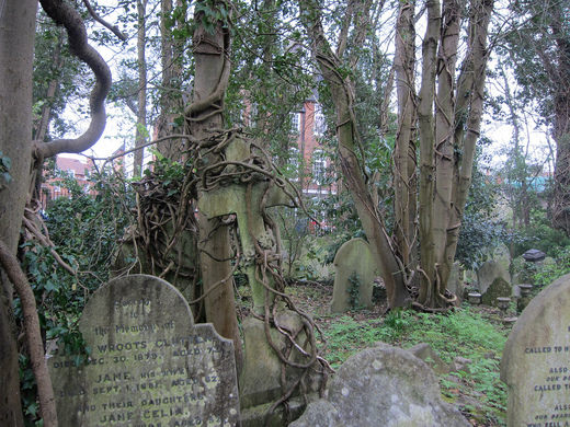 Seeking for a little scarry place in London.